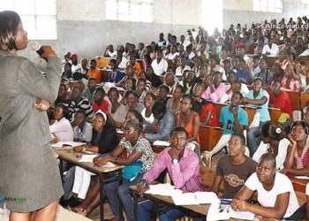Université au Cameroun